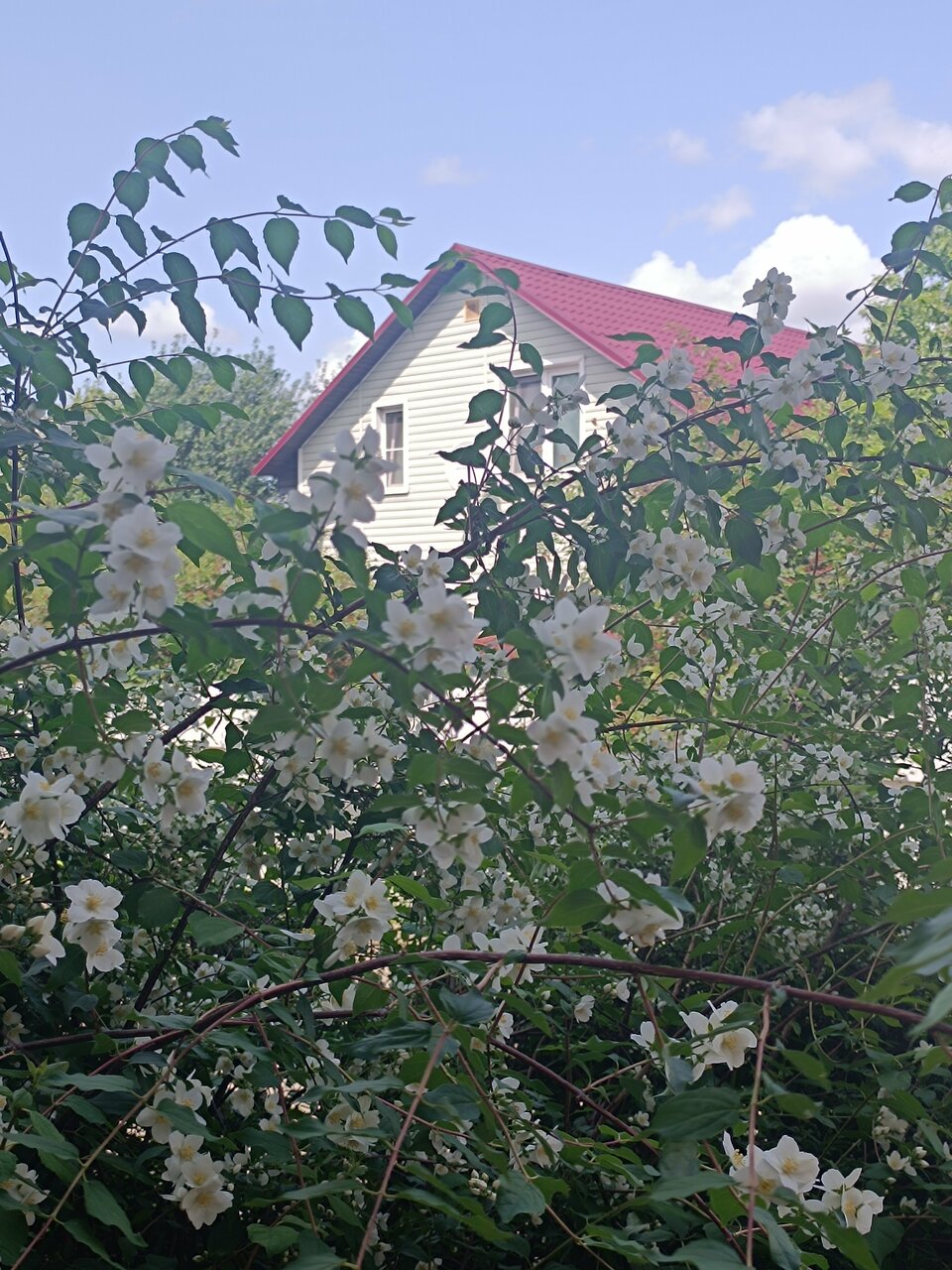 Гостиница Дом Учёных Подольск-116