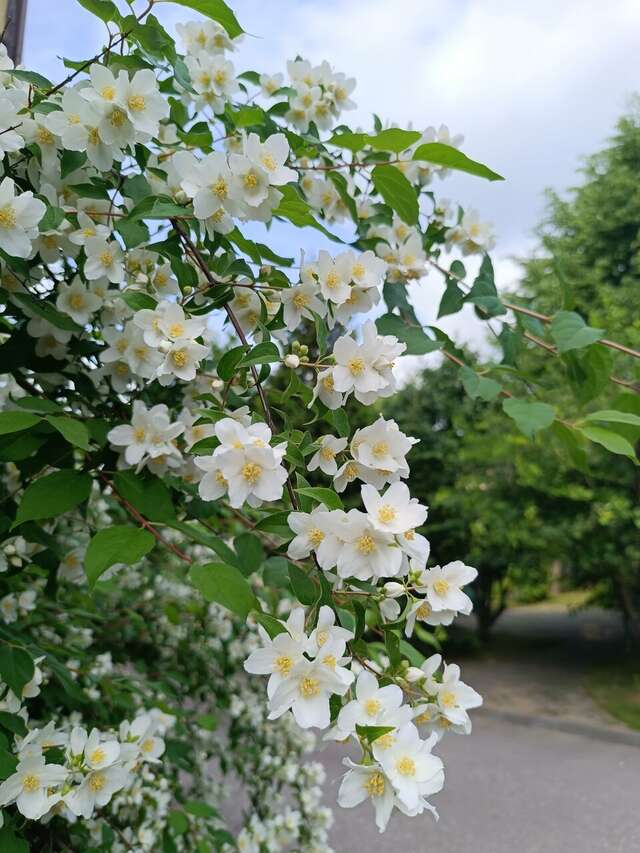 Гостиница Дом Учёных Подольск-102